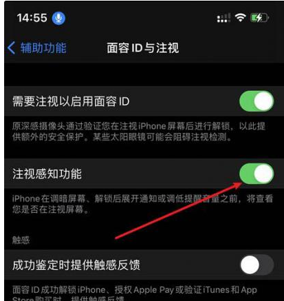 团风苹果14维修网点分享iPhone14注视感知功能有什么用 